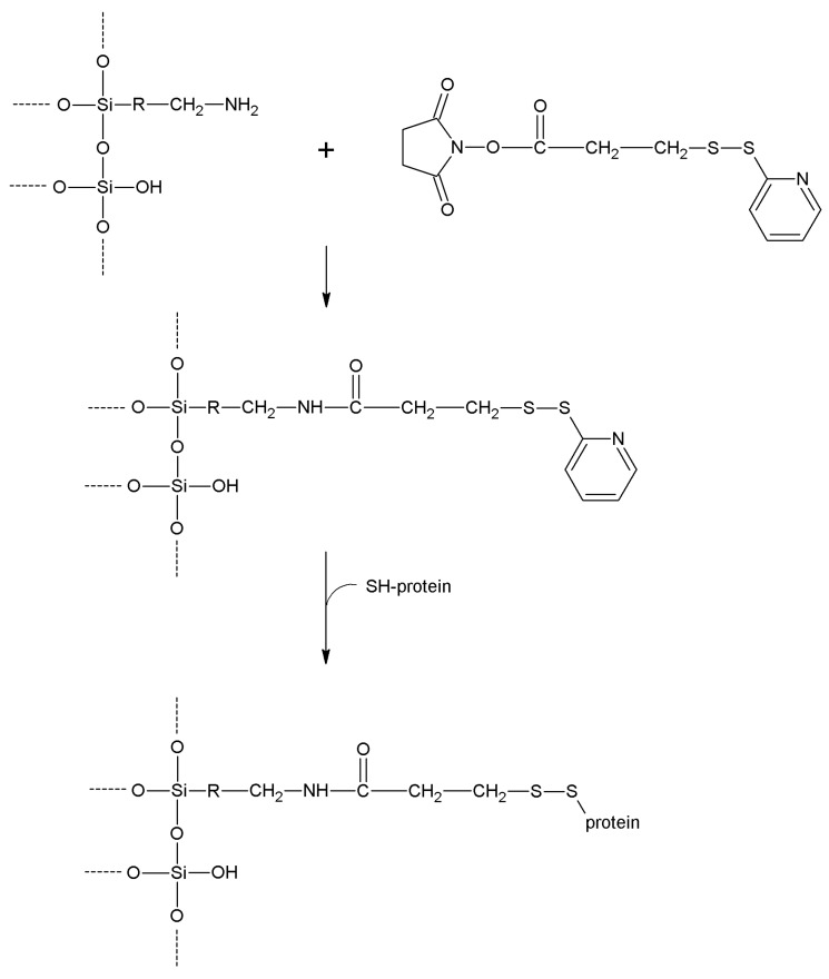 Scheme 17