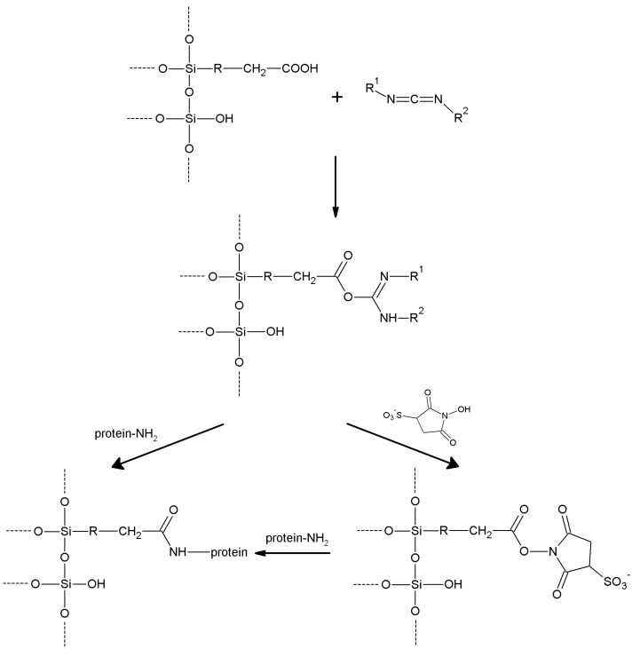 Scheme 12