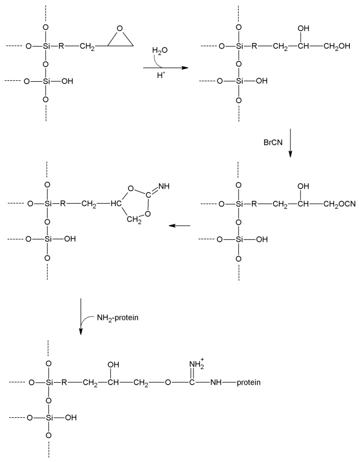 Scheme 4