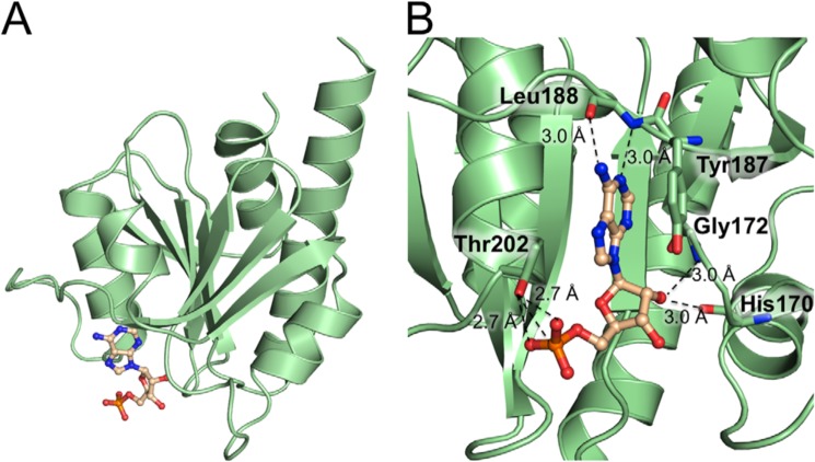 Figure 4.