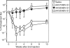 <b>Figure 5</b>