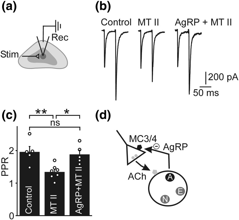 Figure 5.