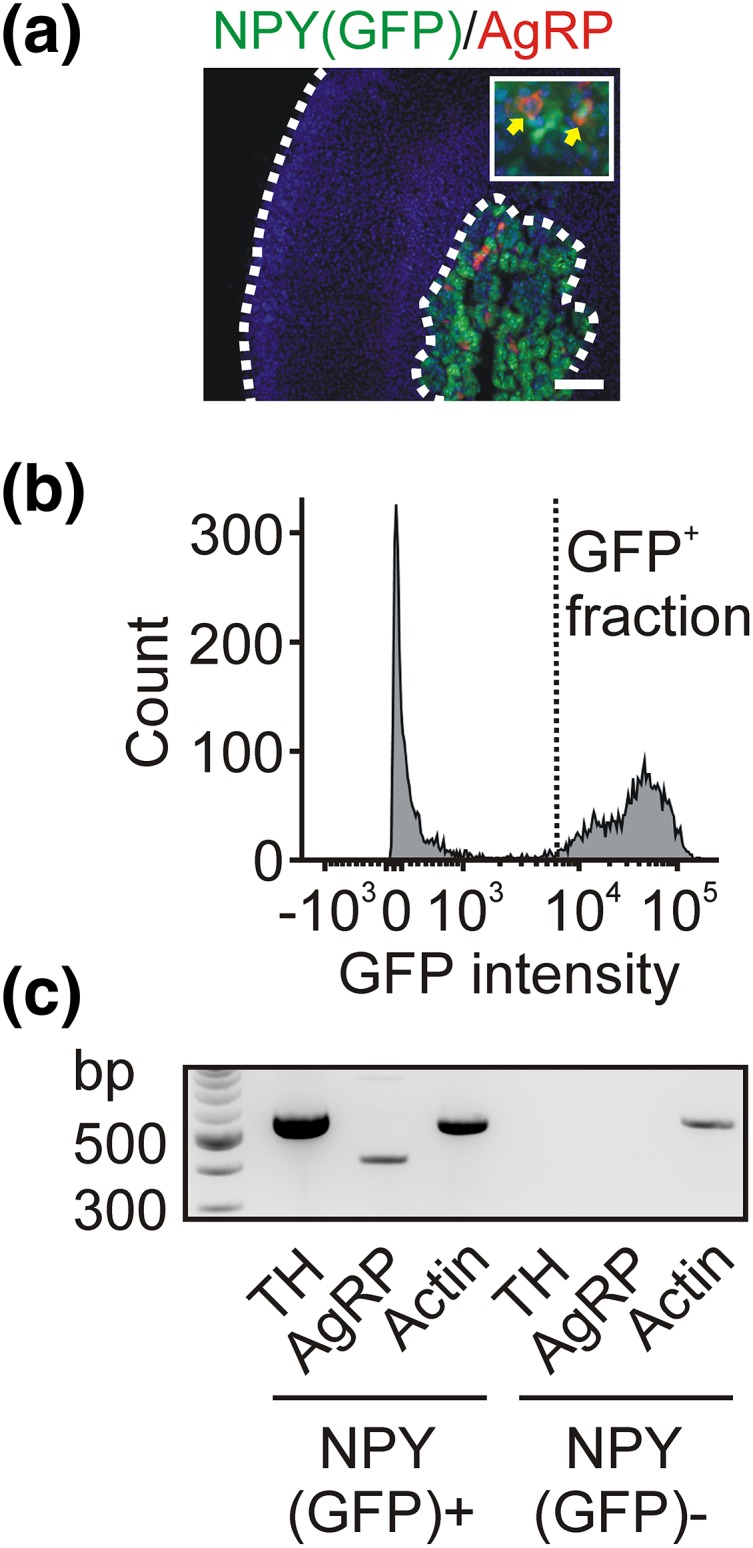 Figure 2.