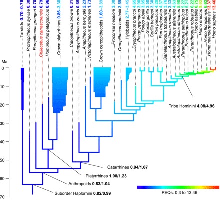 Fig. 3