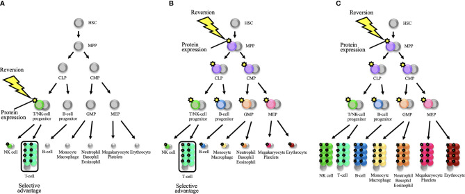 Figure 2