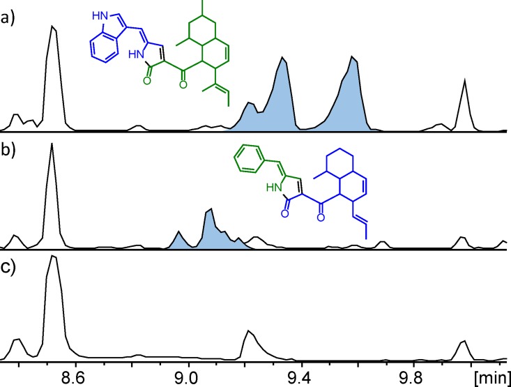 Fig 6