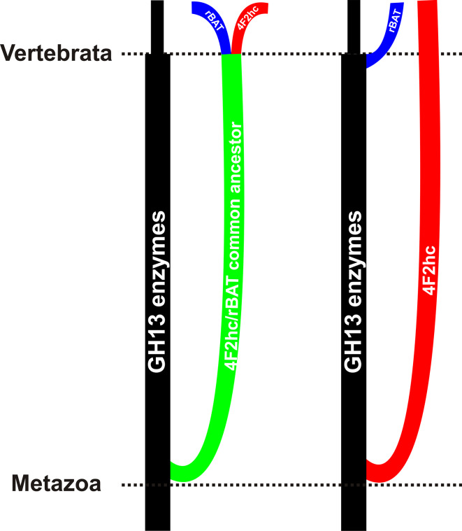 Fig. 4