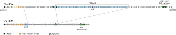 Fig 5