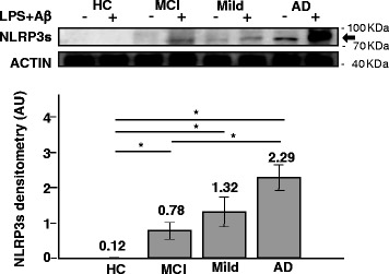 Fig. 3