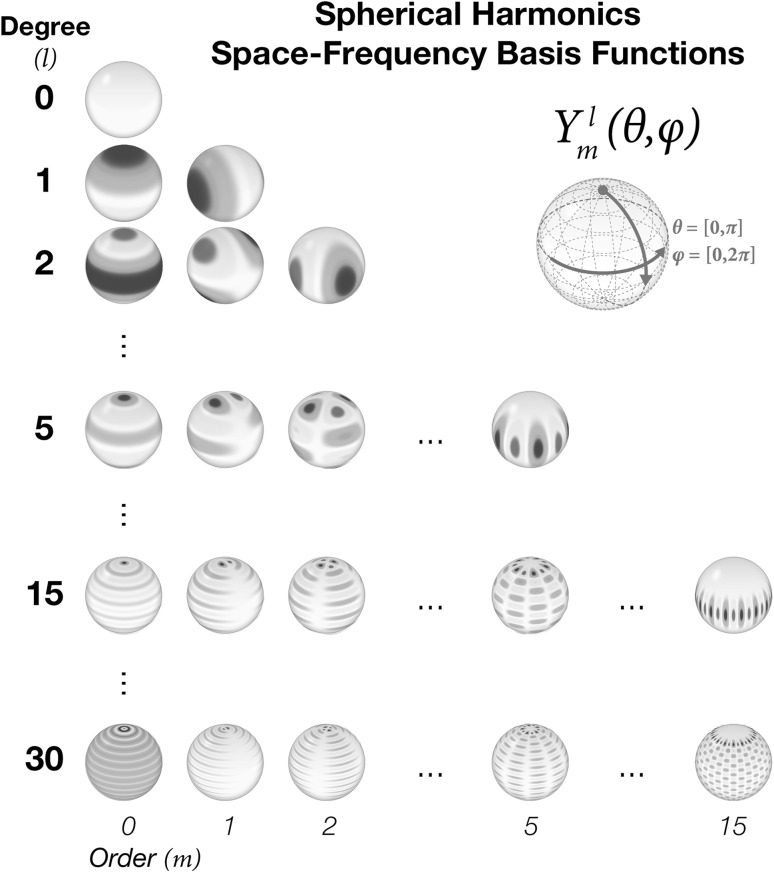 Fig. 9