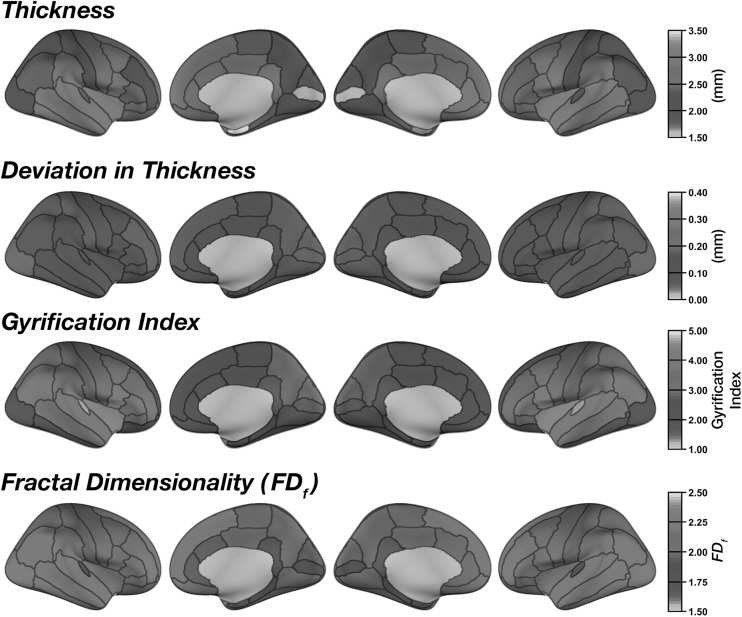 Fig. 7