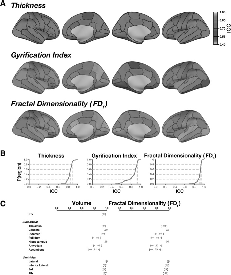 Fig. 8