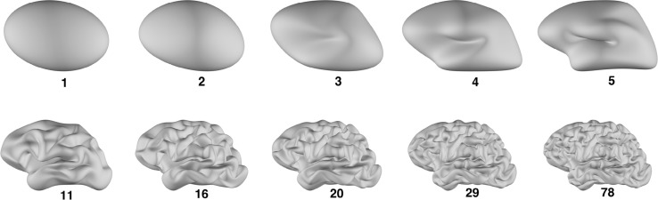 Fig. 10