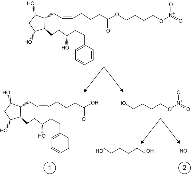 Fig. 1