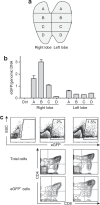 <b>Figure 4</b>
