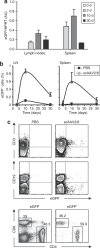 <b>Figure 3</b>