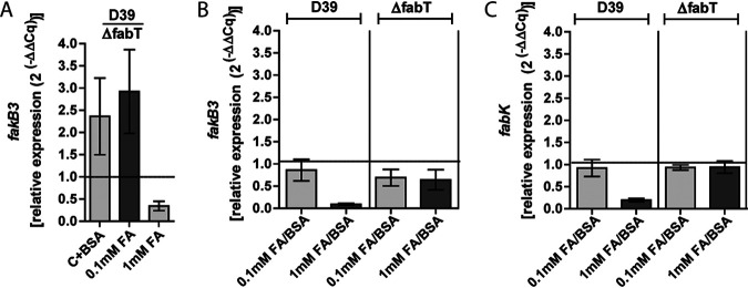 FIG 4