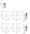 Figure 1—figure supplement 1.