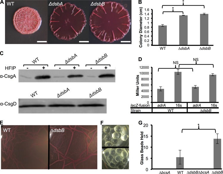 FIG 1