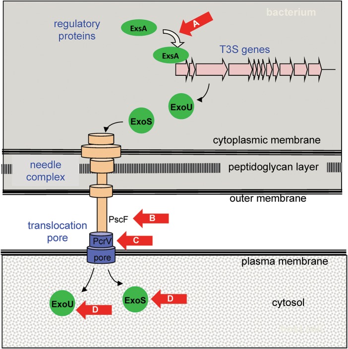 Figure 2.