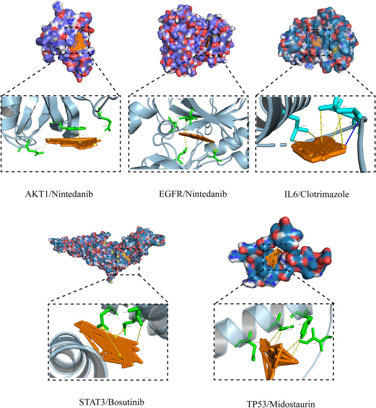 Figure 5