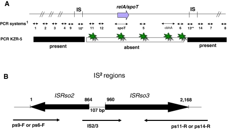 Fig. 2