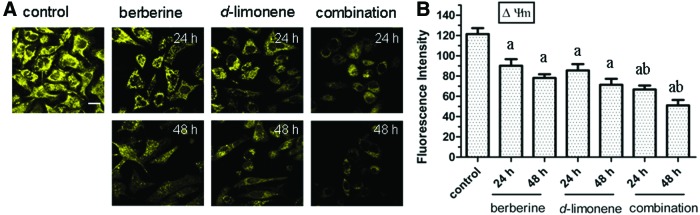 FIG. 5.