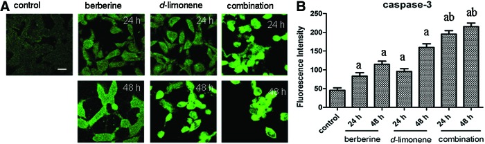 FIG. 7.