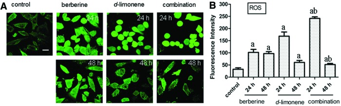 FIG. 4.