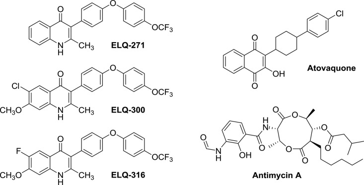 FIG 1