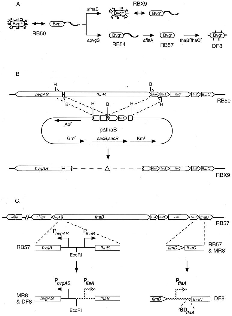 FIG. 1