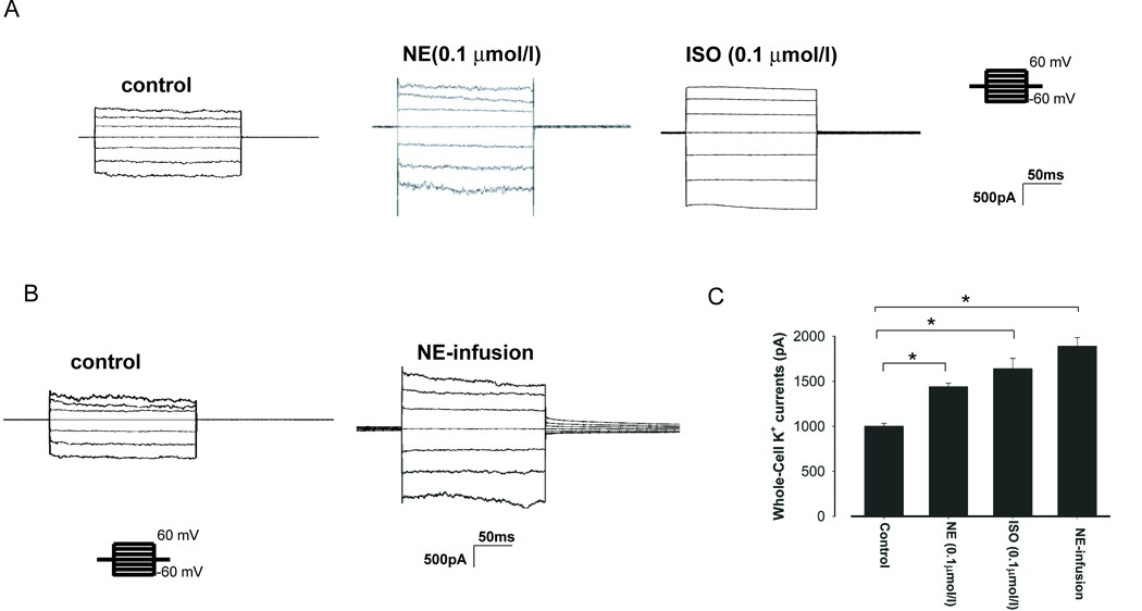 Fig.3.