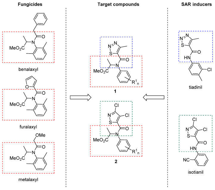 Scheme 2