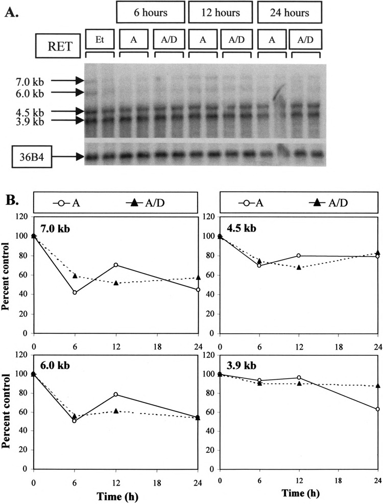 FIG. 6