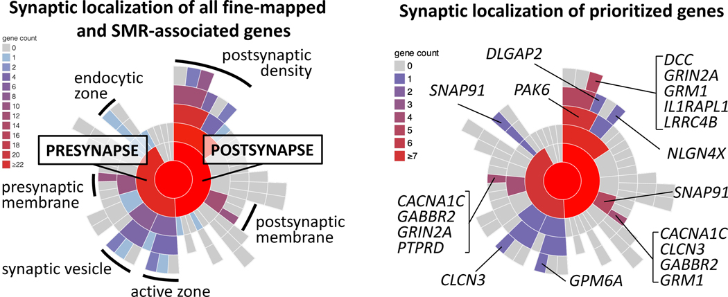 Figure 3: