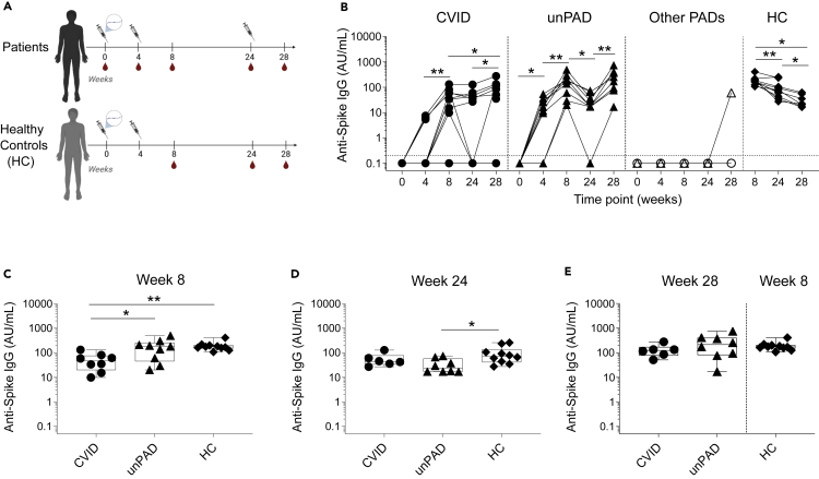 Figure 1