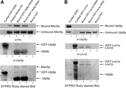 Figure 13.