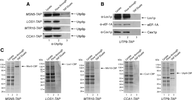 Figure 12.