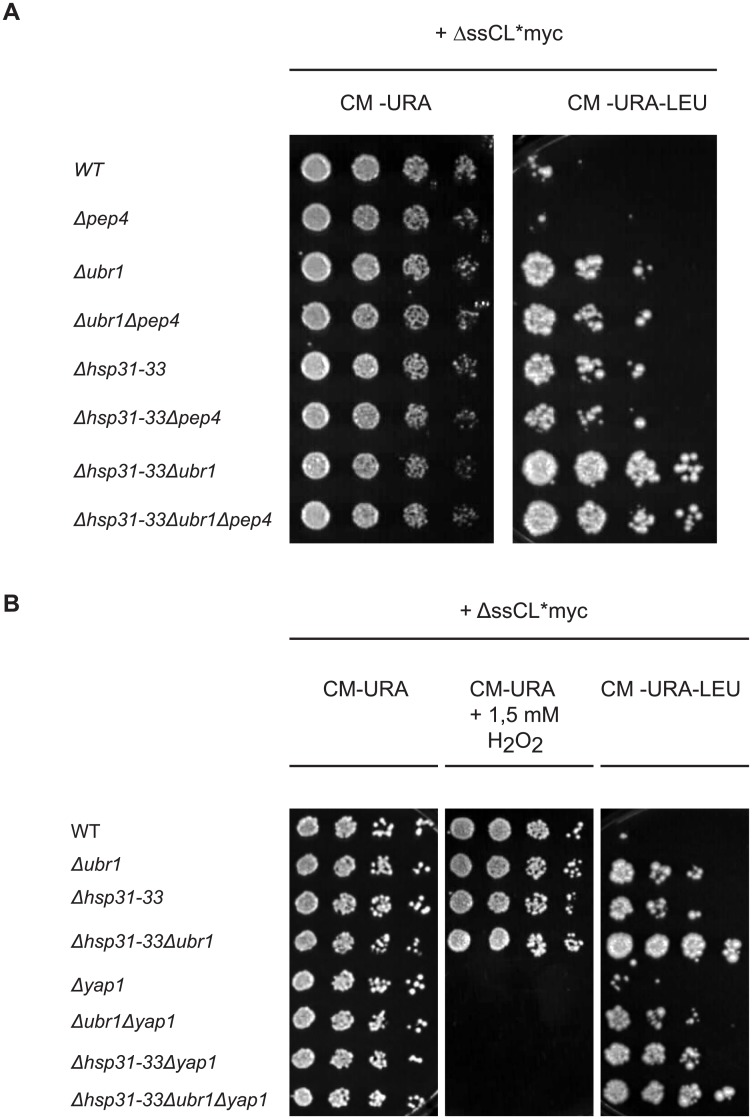 Fig 5