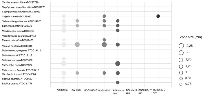 FIGURE 3