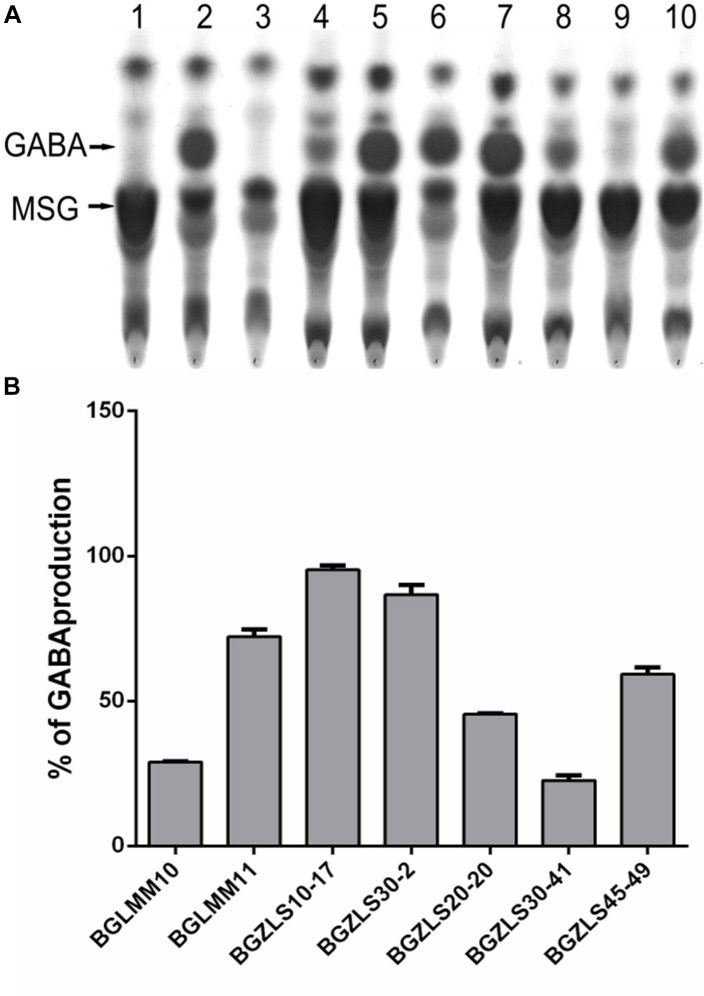 FIGURE 1