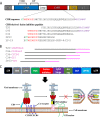 FIG 1