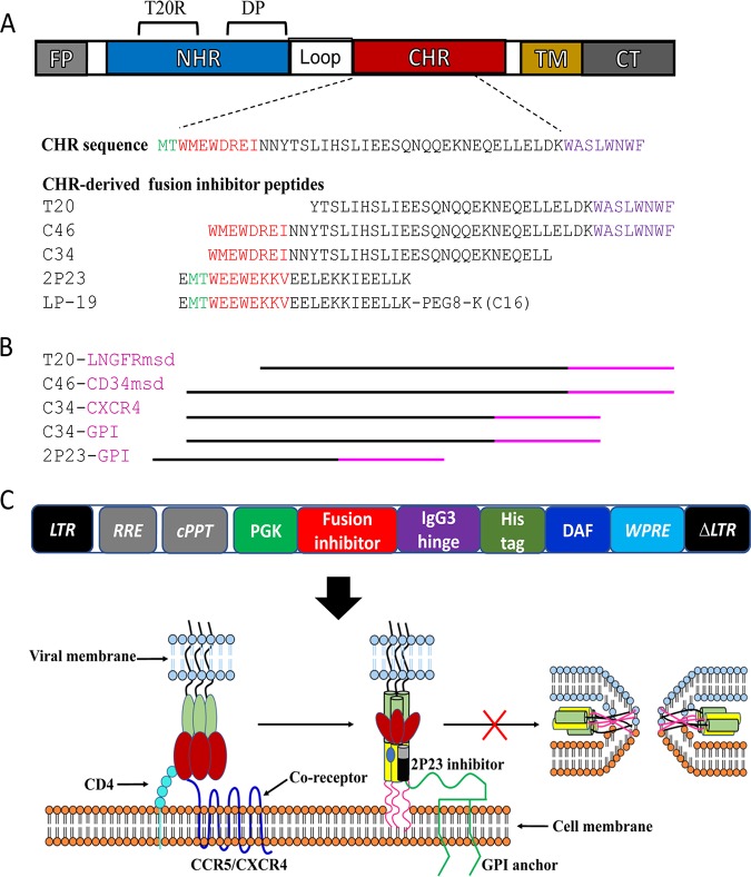 FIG 1