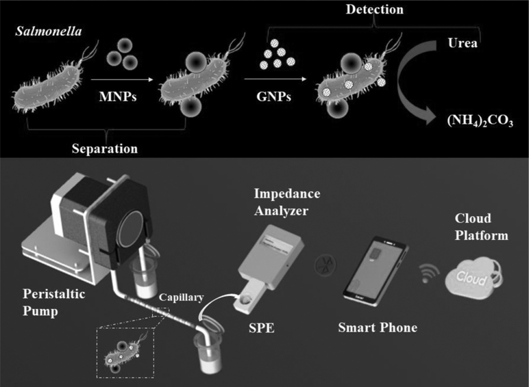 Figure 1