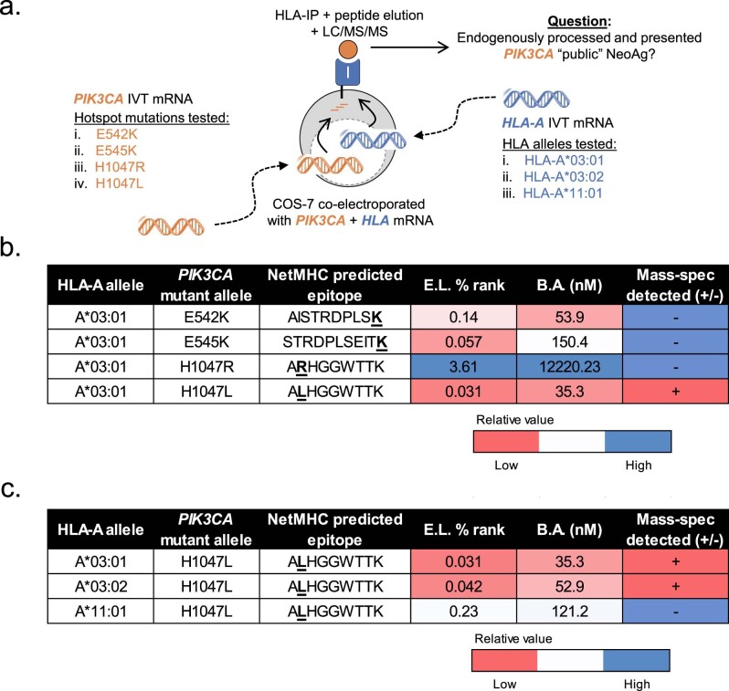 Extended Data Fig. 2