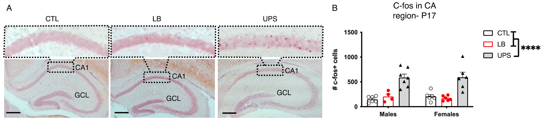 Fig. 9.