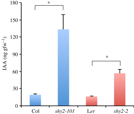 Figure 4.