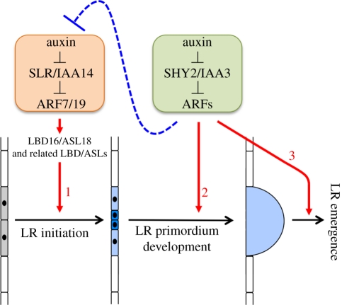 Figure 5.