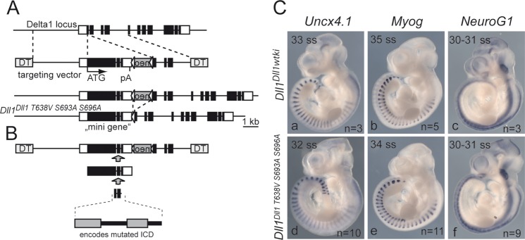 FIG 6