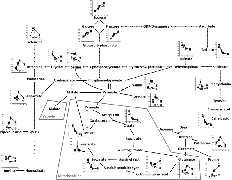 Fig. 7.